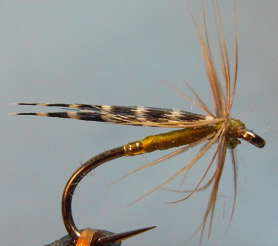 Clyde Style Wet Trout & Grayling Flies! Hen Blackie